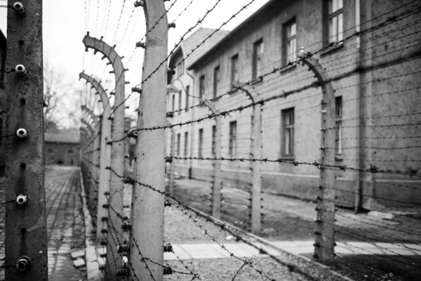 Auschwitz Polonia Noviembre 2019 Parte Del Campo Concentración Auschwitz —  Fotos de Stock