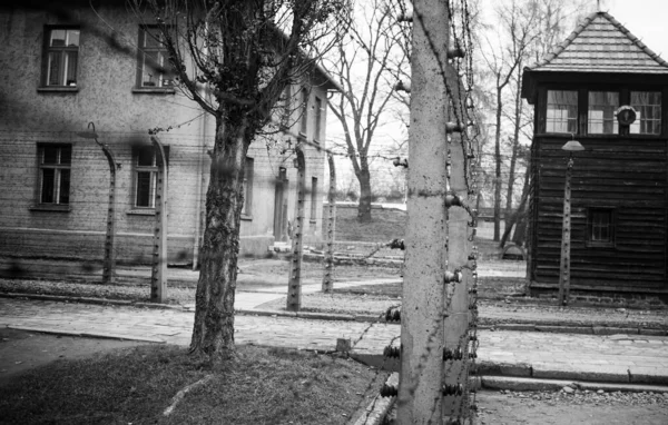 Auschwitz Polonia Noviembre 2019 Parte Del Campo Concentración Auschwitz — Foto de Stock