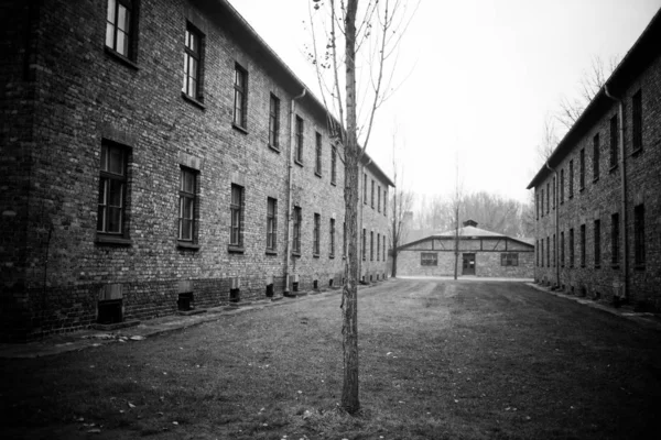 Auschwitz Polen November 2019 Ingår Koncentrationslägret Auschwitz — Stockfoto