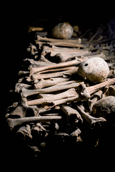 Skulls Bones Paris Catacombs France — Stock Photo, Image