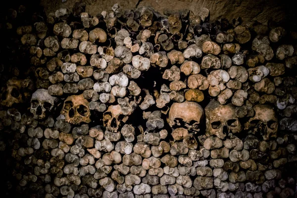 Caveiras Ossos Francia — Fotografia de Stock