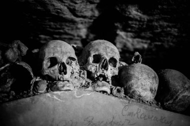 Paris Catacombs'ta kafatasları ve kemikler, Fransa.