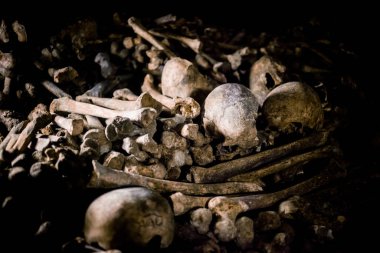 Paris Catacombs'ta kafatasları ve kemikler, Fransa.