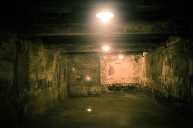 Auschwitz, Polonya - 25 Kasım 2019. Auschwitz toplama kampının bir parçası.