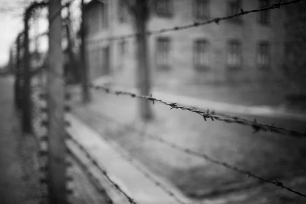Auschwitz Polonya Kasım 2019 Auschwitz Toplama Kampının Bir Parçası — Stok fotoğraf