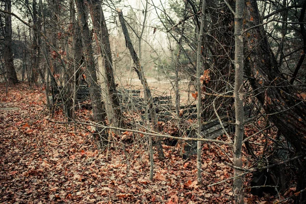 Visões Abandonadas Zona Exclusão Chernobyl — Fotografia de Stock