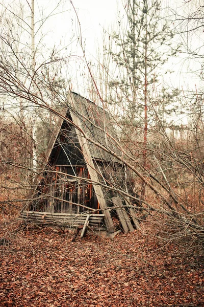 Cabana Abandonada Floresta Outono Zona Exclusão Chernobyl Pripyat — Fotografia de Stock