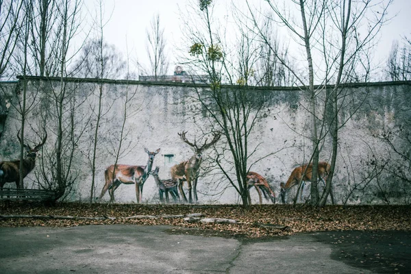 Edifici Abbandonati Cose Del Genere Nella Zona Esclusione Chernobyl — Foto Stock