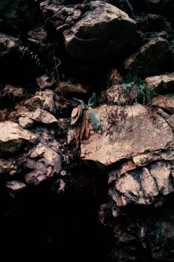 Polonya 'daki madencilik tünelleri Plaszow Kz toplama kampı