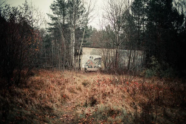 Vecchio Mosaico Sovietico Sull Edificio Chernobyl Forrest — Foto Stock