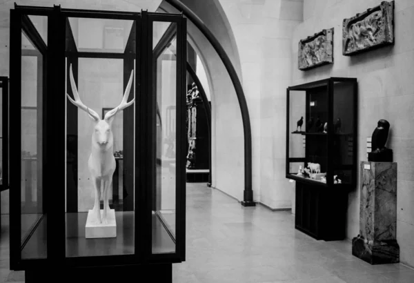 Muse Orsay Párizs Franciaország 2019 Franciaország Egyik Legszebb Múzeumának Készítője — Stock Fotó