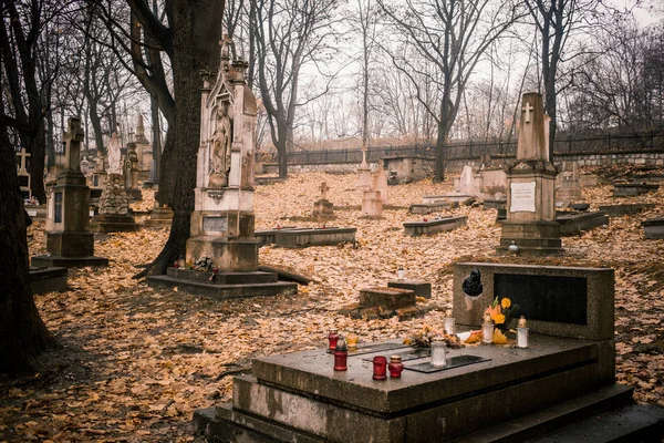 Krakau Polen 2019 Cmentarz Podgrski Stary Cemetery — Stockfoto