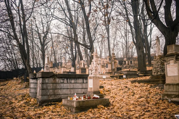 Krakau Polen 2019 Cmentarz Podgrski Stary Friedhof — Stockfoto