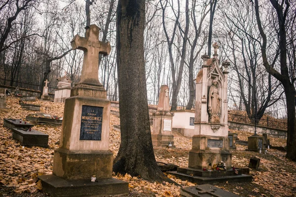 Krakau Polen 2019 Cmentarz Podgrski Stary Cemetery — Stockfoto