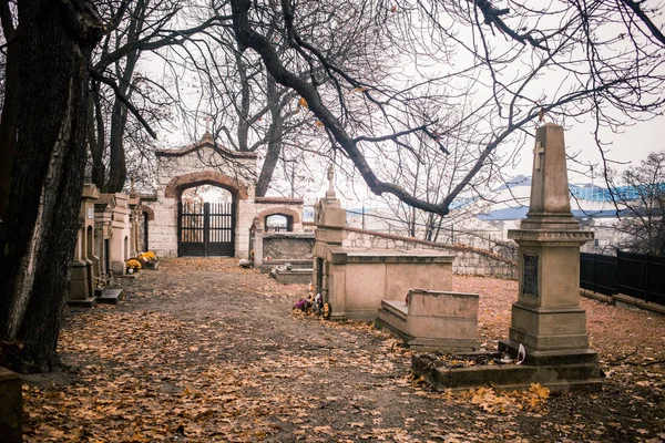 Krakow Poland 2019 Cimetière Cmentarz Podgrski Stary — Photo