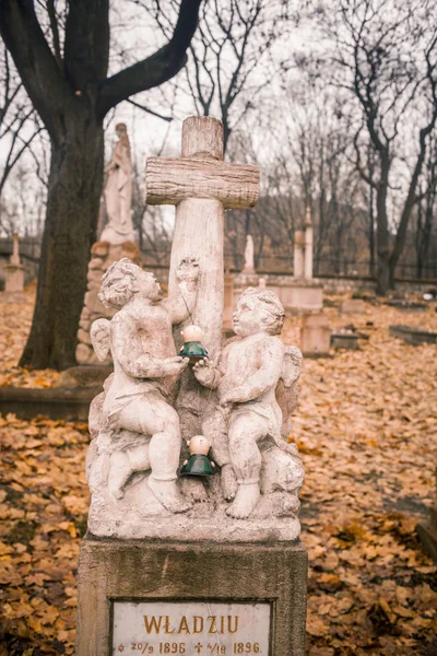 Krakau Polen 2019 Cmentarz Podgrski Stary Friedhof — Stockfoto