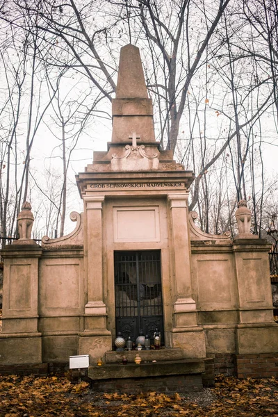Kraków Polska 2019 Cmentarz Podgrski Stary Cmentarz — Zdjęcie stockowe