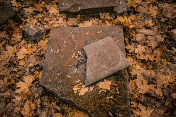 Krakow Polen 2019 Cmentarz Podgrski Stary Cemetery — Stockfoto