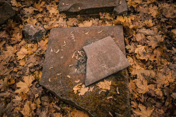 Krakow Poland 2019 Cmentarz Podgrski Stary Cemetery — Stock Photo, Image