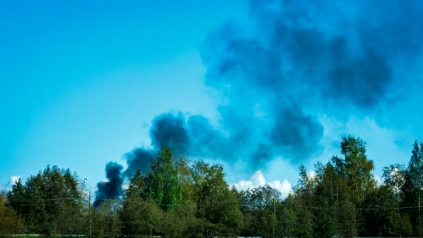 Ogień, czarny dym unosi się nad lasem — Wideo stockowe