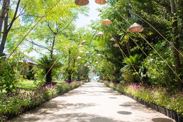 L'été dans l'allée des arbres du parc — Photo