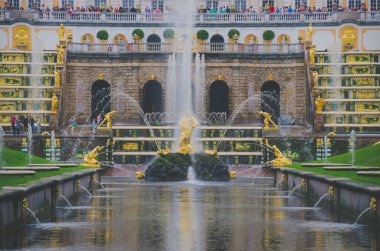 Sankt Petersburg, Rusya-Haziran, 2016-Peterhof. Peterhof Sarayı ve Cascade ve Samson bir aslan Incil hikayesi yırtılma çene Çeşmesi