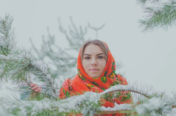 Nella foresta in inverno bella ragazza nel Consiglio . — Foto Stock