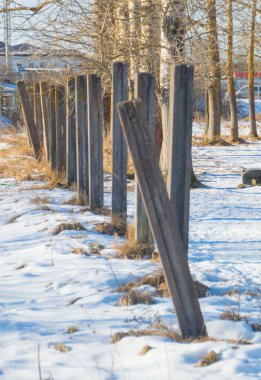 sütunlar ve ağaçları ile kar beton.