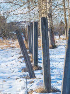 çayır kar ile nerede ağaçlar beton sütun kazdık