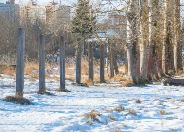 Prado com neve, a perspectiva, postes de concreto e árvores — Fotografia de Stock