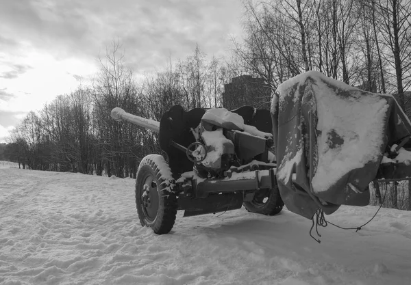 Biało -czarne, w niebo patrząc w dół baryłkę artylerii — Zdjęcie stockowe