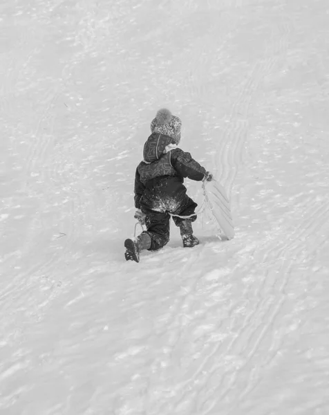 Por trás, a criança vai em um inverno montanha-russa, preto e branco . — Fotografia de Stock