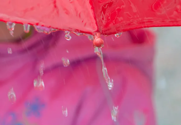 Sul bordo dell'ombrello, grandi gocce d'acqua . — Foto Stock