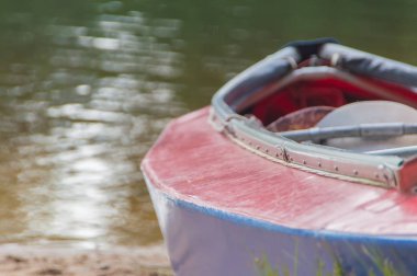 Orman Gölü kıyısında yalnız Kano.