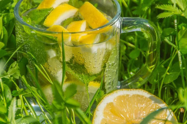 Close-up, bebida fria de hortelã e limão em pé na grama . — Fotografia de Stock