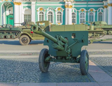 çiçekler kırmızı karanfiller topçu silah varil.