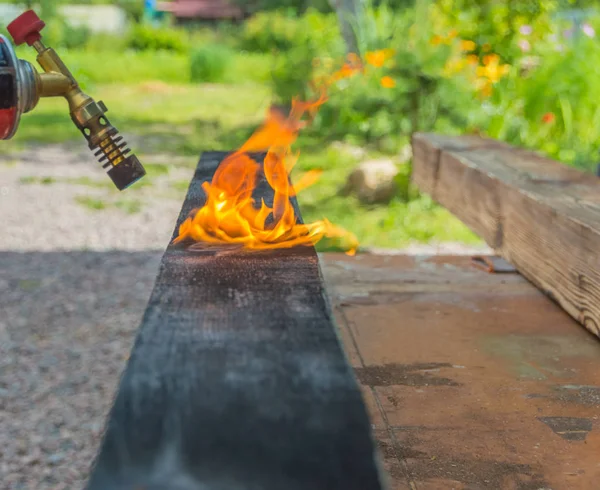 De boom wordt behandeld met vuur van een gasbrander. — Stockfoto