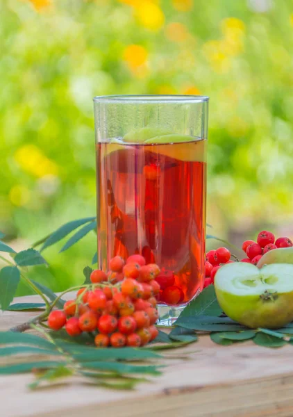 Erfrischender Tee, Äpfel und Beeren Eberesche. — Stockfoto