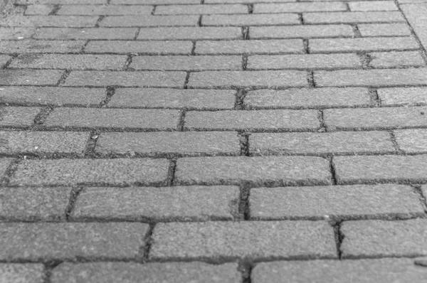 Black and white, the road with rectangular, uniform sidewalk for — Stock Photo, Image