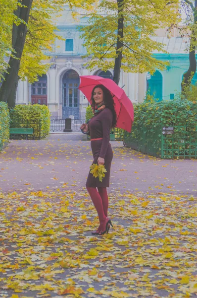공원에서 우산을 가진 매력적인 소녀와 나뭇잎 여름과 — 스톡 사진