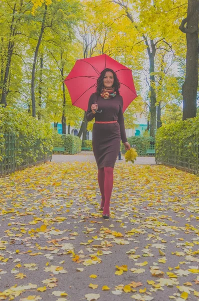 W parku dziewczyna z parasolem i liści jesienią — Zdjęcie stockowe