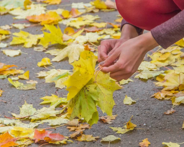 Jesienny dzień dziewczyna zbiera opadłych liści, zbliżenie — Zdjęcie stockowe