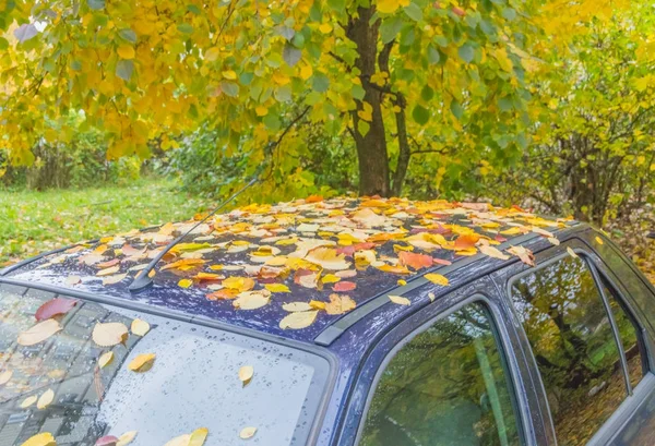 Herbsttag, geparktes Auto mit Laub bedeckt — Stockfoto