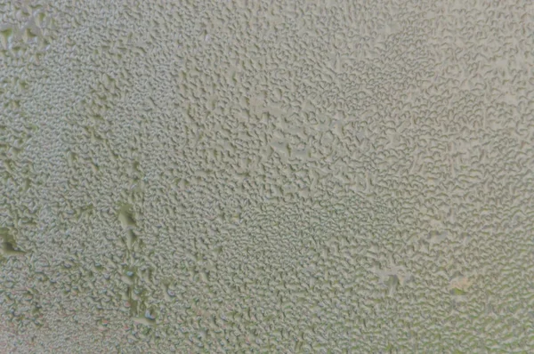 Outono no cavalo gotas de água acumuladas, textura — Fotografia de Stock