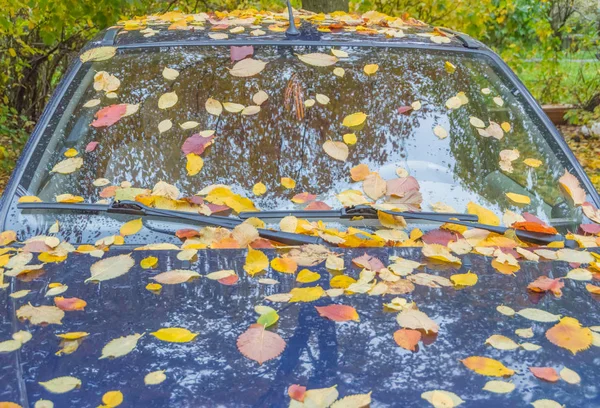 При падении припаркованного автомобиля, покрытого листьями — стоковое фото