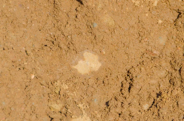 Closeup texture of stone and sand — Stock Photo, Image