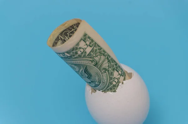 Nahaufnahme auf blauem Hintergrund, Dollarschein in Eierschale — Stockfoto