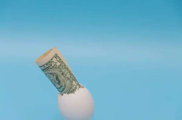 Mavi bir arka plan üzerine bir yumurta kabuğunda dolarlık banknot — Stok fotoğraf