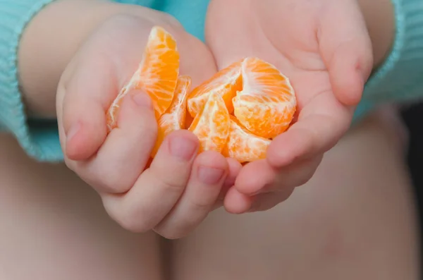 In the hands of the child Mandarin slices — Stock Photo, Image
