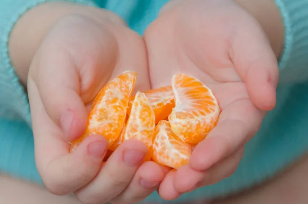 Mandarin slices in the hands of a child — Stock Photo, Image